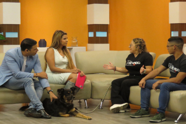 Día Mundial del Perro busca crear conciencia para su protección