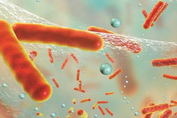 Científicos alertan de propagación de bacterias resistentes a antibióticos
