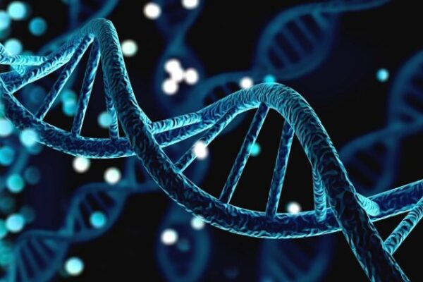 Científicos estudian genes de hibernación en seres humanos
