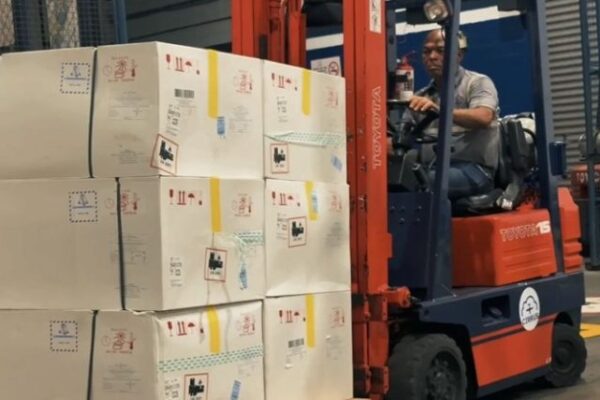 Llegan al país 226 mil dosis de vacunas contra la Fiebre Amarilla