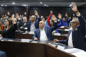 Parlamento aprobó 15 artículos del Proyecto de Ley de Comandos para Defensa de la Nación