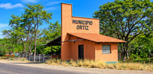 Municipio Ortiz 1