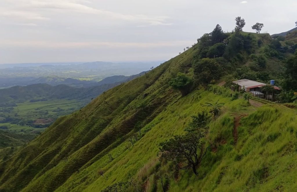 Aviturismo Guárico 2